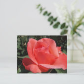 Carte Postale Rose corail (Debout devant)