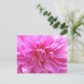Carte postale Rose Dahlia (Debout devant)