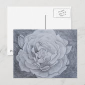 Carte Postale Rose dans Graphite (Devant / Derrière)