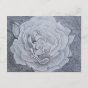 Carte Postale Rose dans Graphite