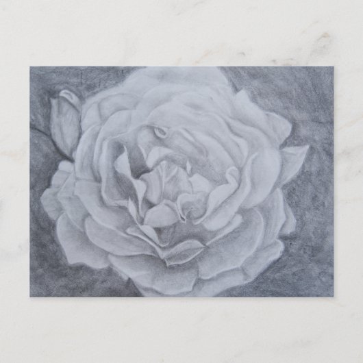 Carte Postale Rose dans Graphite (Devant)