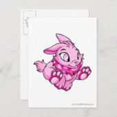 Carte Postale Rose de Cybunny (Devant / Derrière)