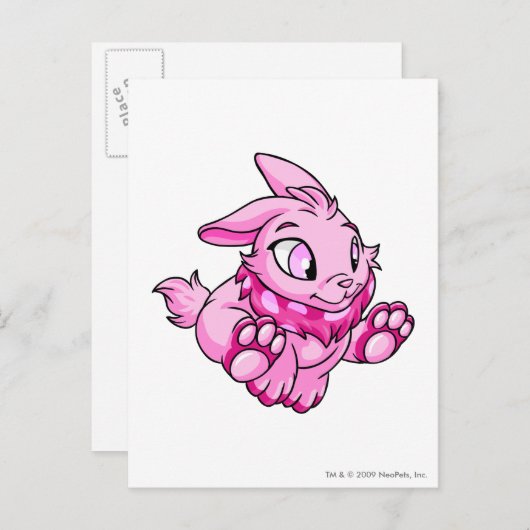 Carte Postale Rose de Cybunny (Devant / Derrière)