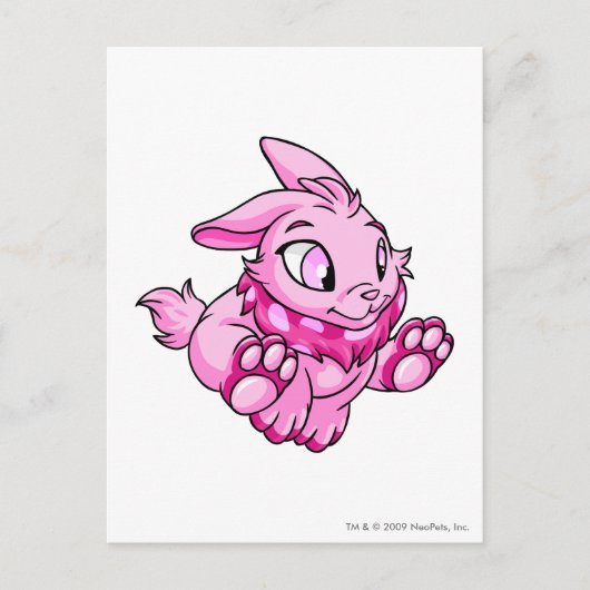 Carte Postale Rose de Cybunny (Devant)