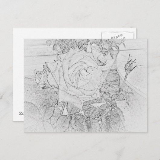 Carte postale rose de feuille de coloration (Devant / Derrière)