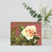 Carte postale Rose de grand-mère (Debout devant)