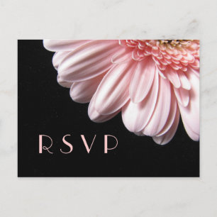 Carte postale rose de la marguerite RSVP de