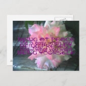 Carte postale Rose de la paix (Devant / Derrière)