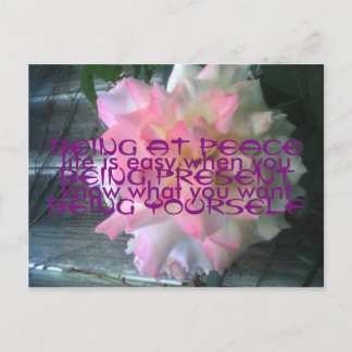 Carte postale Rose de la paix