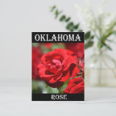 Carte Postale Rose de l'Oklahoma (Debout devant)
