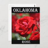 Carte Postale Rose de l'Oklahoma (Devant / Derrière)