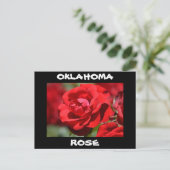 Carte Postale Rose de l'Oklahoma (Debout devant)