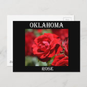Carte Postale Rose de l'Oklahoma (Devant / Derrière)