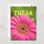 Carte postale rose de marguerite de Gerbera de (Devant / Derrière)