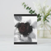 Carte Postale Rose de mémoire en deuil (Debout devant)