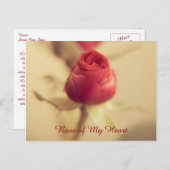 Carte Postale Rose de mon coeur (Devant / Derrière)