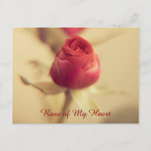 Carte Postale Rose de mon coeur