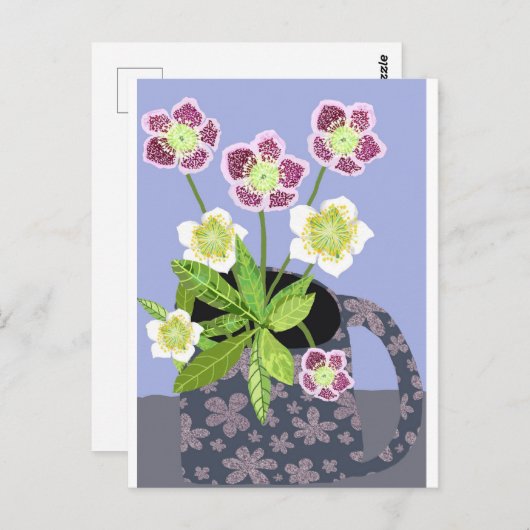 Carte postale Rose de Noël (Devant / Derrière)