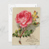 Carte postale Rose de Noël victorien (Devant / Derrière)