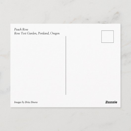 Carte Postale Rose de plage (Dos)