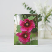 Carte Postale Rose de Sharon Postcard (Debout devant)
