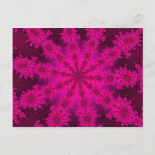 Carte postale rose Decasteer (Devant)