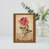 Carte Postale Rose dentelle (Debout devant)