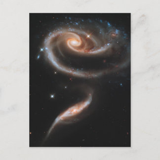 Carte Postale Rose des Galaxies