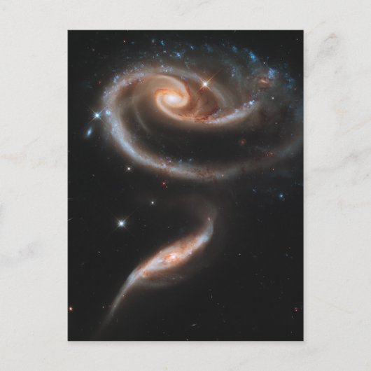 Carte Postale Rose des Galaxies (Devant)