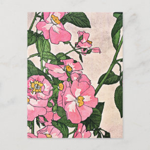 Carte Postale Rose des Prairies, jolie illustration florale,