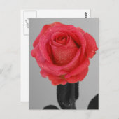 Carte Postale Rose d'espoir (Devant / Derrière)