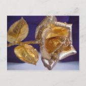 Carte Postale Rose d'or - amour éternel (Devant)