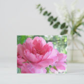 Carte Postale Rose douce (Debout devant)