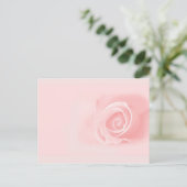 Carte Postale Rose douce (Debout devant)