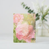 Carte Postale Rose doux (Debout devant)