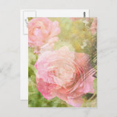 Carte Postale Rose doux (Devant / Derrière)