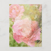 Carte Postale Rose doux (Devant)