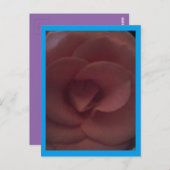 Carte Postale Rose Dragon (Devant / Derrière)