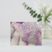 Carte Postale Rose du désert (Debout devant)