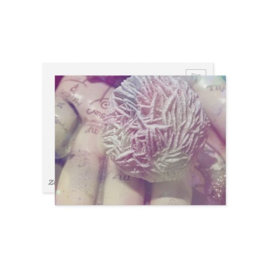 Carte Postale Rose du désert (Devant/Arrière en situation)