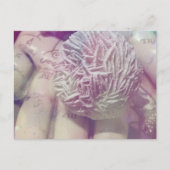 Carte Postale Rose du désert (Devant)