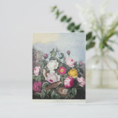 Carte Postale Rose, du temple de Flora (Debout devant)