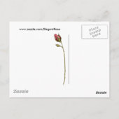 Carte Postale Rose élégant 2 (Dos)