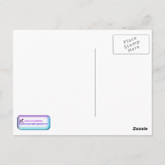 Carte postale rose en fleurs pleurant (Dos)