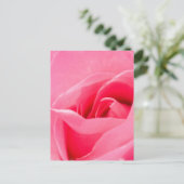 Carte postale Rose en floraison (Debout devant)