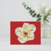 Carte Postale Rose et abeille (Debout devant)
