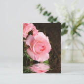 Carte Postale rose et eau (Debout devant)