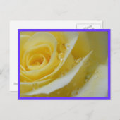 Carte Postale rose et gouttes d'eau (Devant / Derrière)