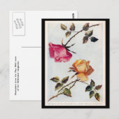 Carte postale rose et jaune victorienne (Devant / Derrière)