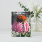 Carte Postale Rose et orange Daisey (Debout devant)